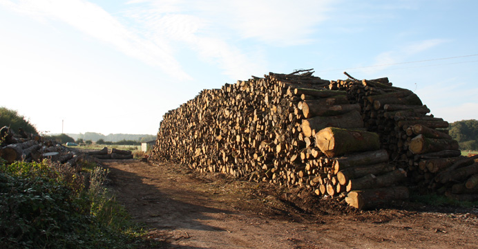 Bois De Chauffage Dans Le 28